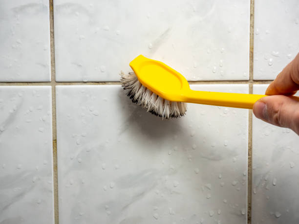 Best Fast Mold Removal  in Wilson Conococheague, MD