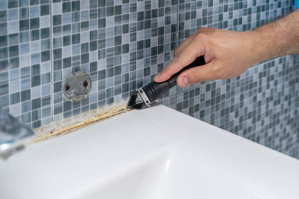 Mold Removal Process in Wilson Conococheague, MD